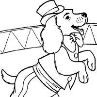Desenhos para colorir Cachorros