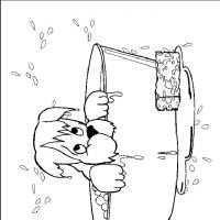 Desenhos para colorir Cachorros