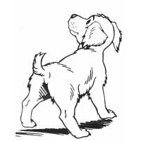 Desenhos para colorir Cachorros