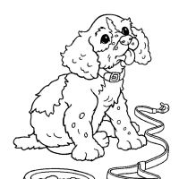 Desenhos para colorir Cachorros