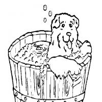 Desenhos para colorir Cachorros