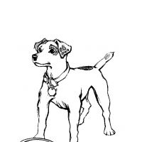 Desenhos para colorir Cachorros