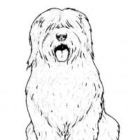 Desenhos para colorir Cachorros