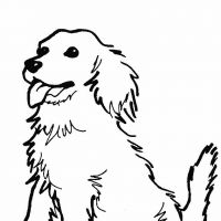 Desenhos para colorir Cachorros