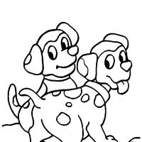 Cachorros
