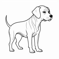 Desenhos para colorir Cachorros