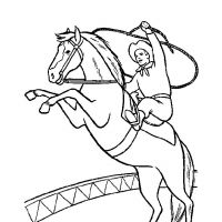 Cavalos