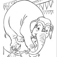 Desenhos para colorir Circo