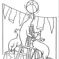 Desenhos para colorir Circo
