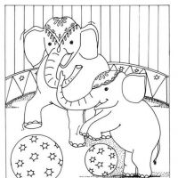 Desenhos para colorir Circo