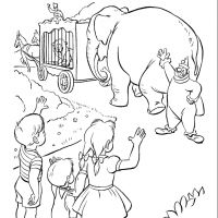 Desenhos para colorir Circo