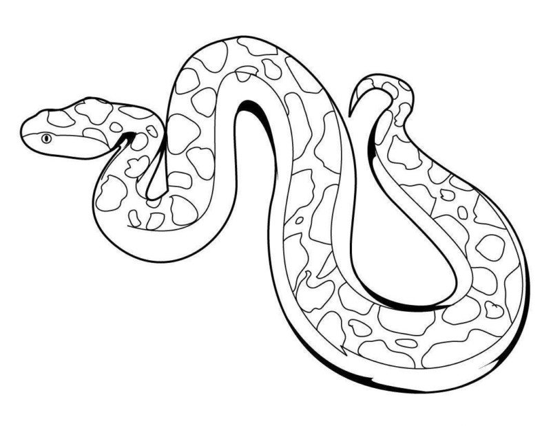 Desenho para colorir