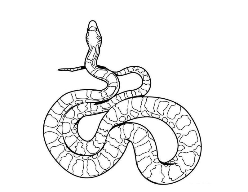 Desenho para colorir