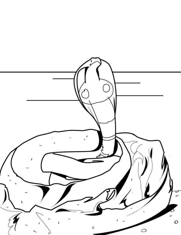 Desenho para colorir