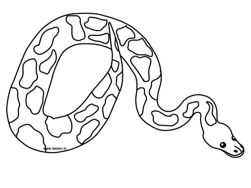 Desenho para imprimir