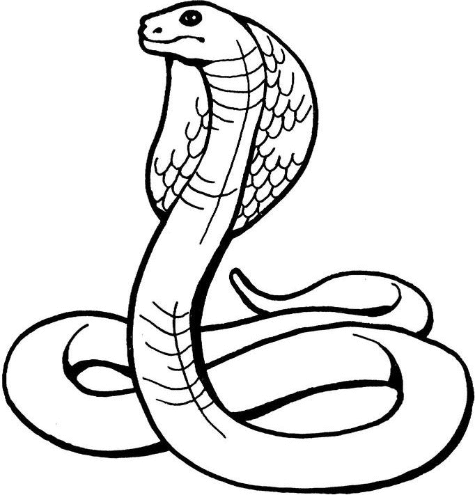 Desenho para colorir