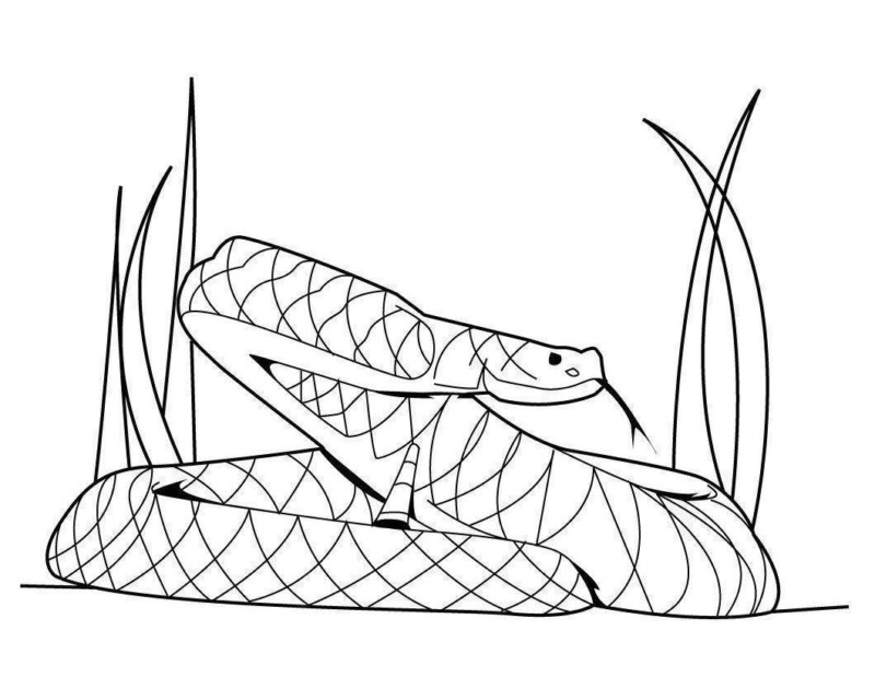 Desenho para colorir