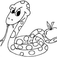 Desenhos para colorir Cobras
