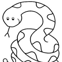 Desenhos para colorir Cobras
