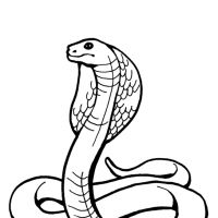 Desenhos para colorir Cobras