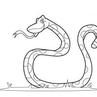 Desenhos para colorir Cobras