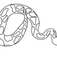 Desenhos para colorir Cobras