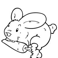 Desenhos para colorir Coelhos