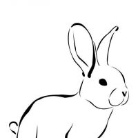 Desenhos para colorir Coelhos