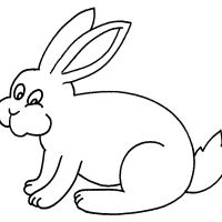 Desenhos para colorir Coelhos