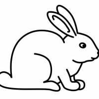 Desenhos para colorir Coelhos