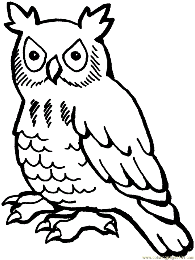 Desenho para imprimir