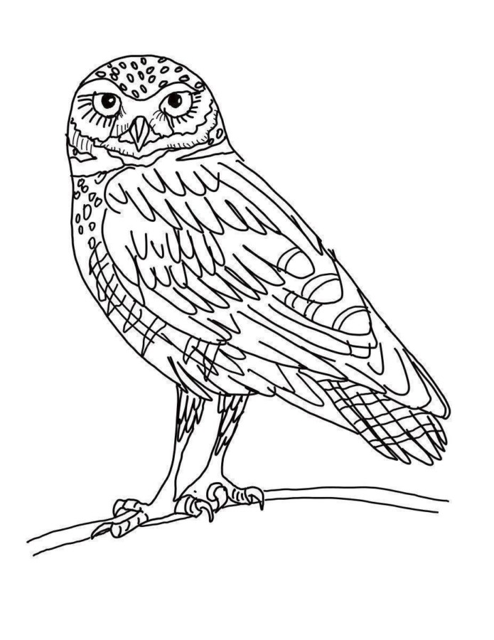 Desenho para colorir