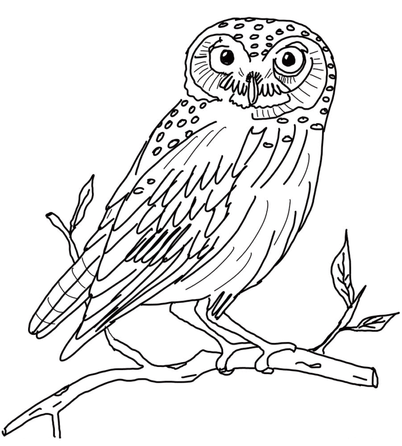 Desenho para colorir