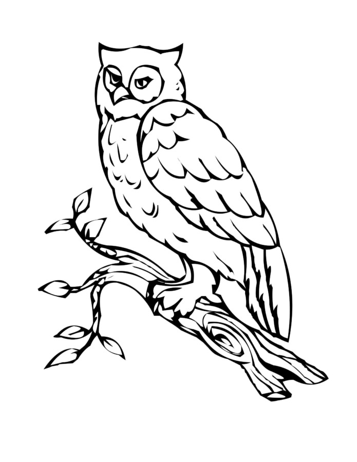 Desenho para colorir
