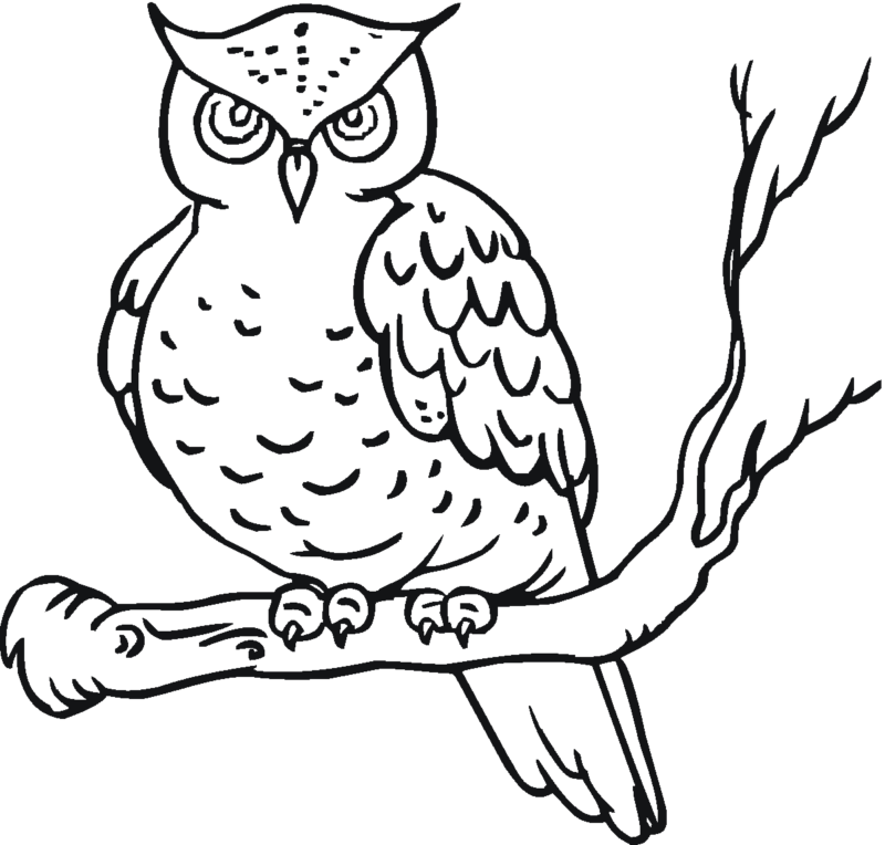 Desenho para colorir