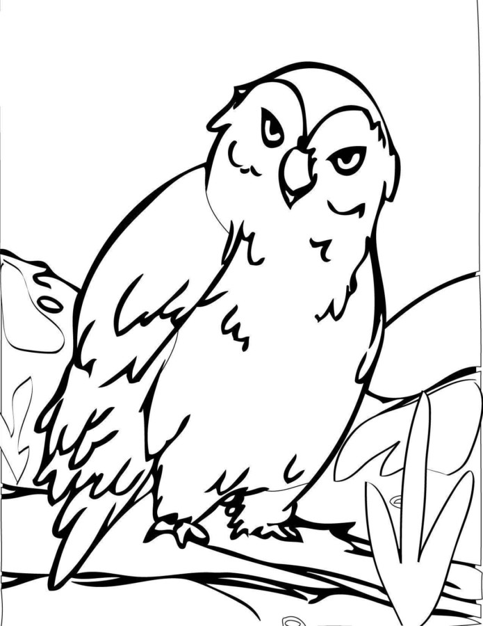 Desenho para imprimir
