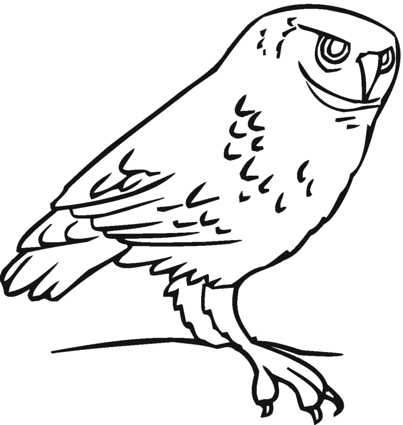 Desenho para colorir