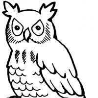 Desenhos para colorir Corujas