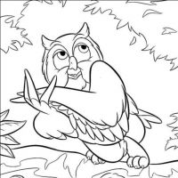 Desenhos para colorir Corujas