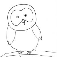 Desenhos para colorir Corujas