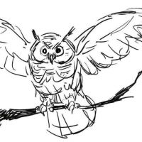 Desenhos para colorir Corujas