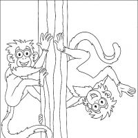 Desenhos para colorir Diego, Go