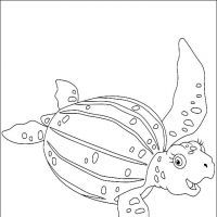 Desenhos para colorir Diego, Go