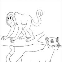 Desenhos para colorir Diego, Go
