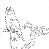 Desenhos para colorir Diego, Go