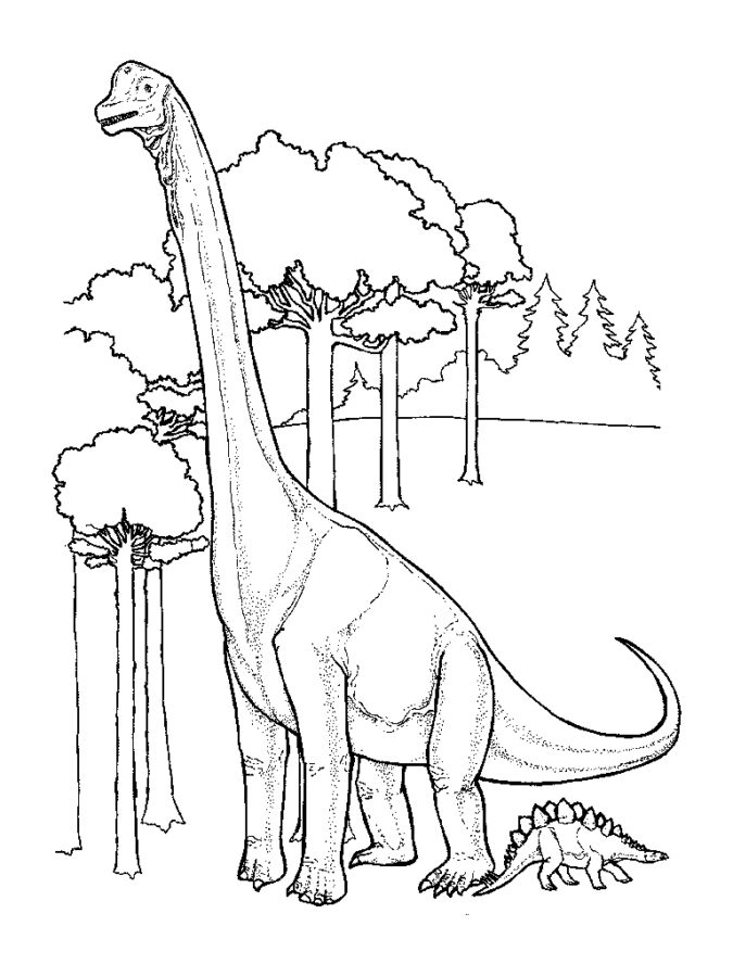 Desenho para colorir