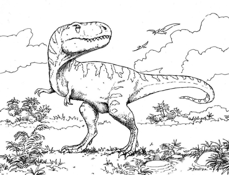 Desenho para colorir