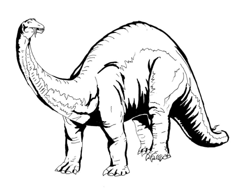 Desenho para colorir
