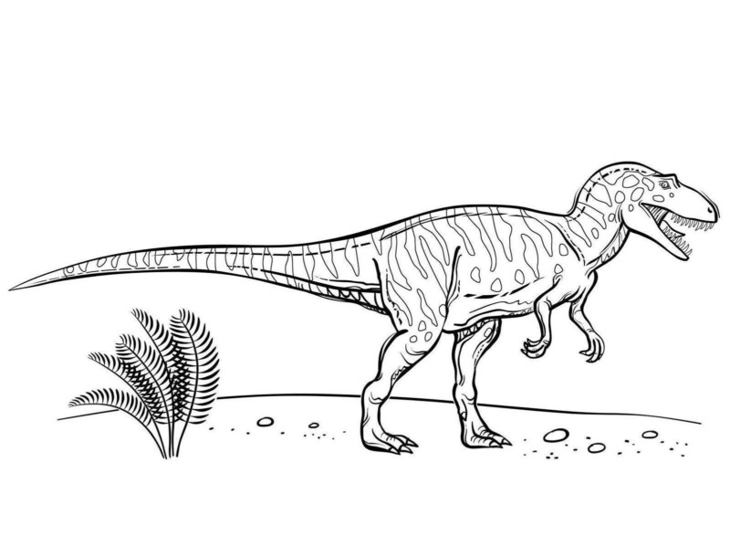 Desenho para colorir