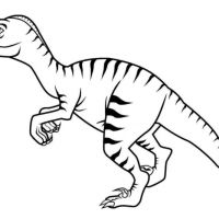 Desenhos para colorir Dinossauros